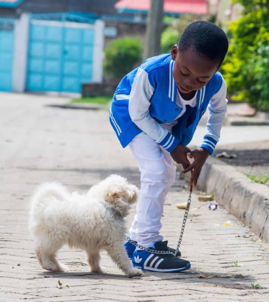 young boy with small white dog on a leash