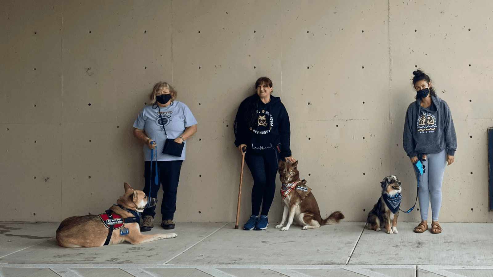 humans and dogs on leash leaning against a wall