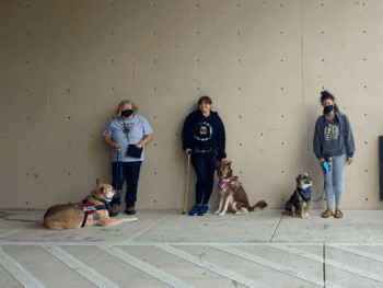 humans and dogs on leash leaning against a wall